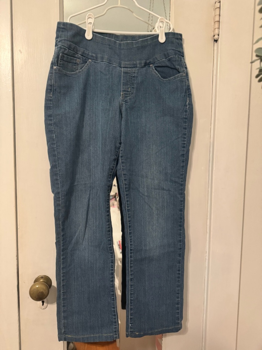 Jag Jeans Women's Classic Fit Pull on Crop Jeans in Medium wash